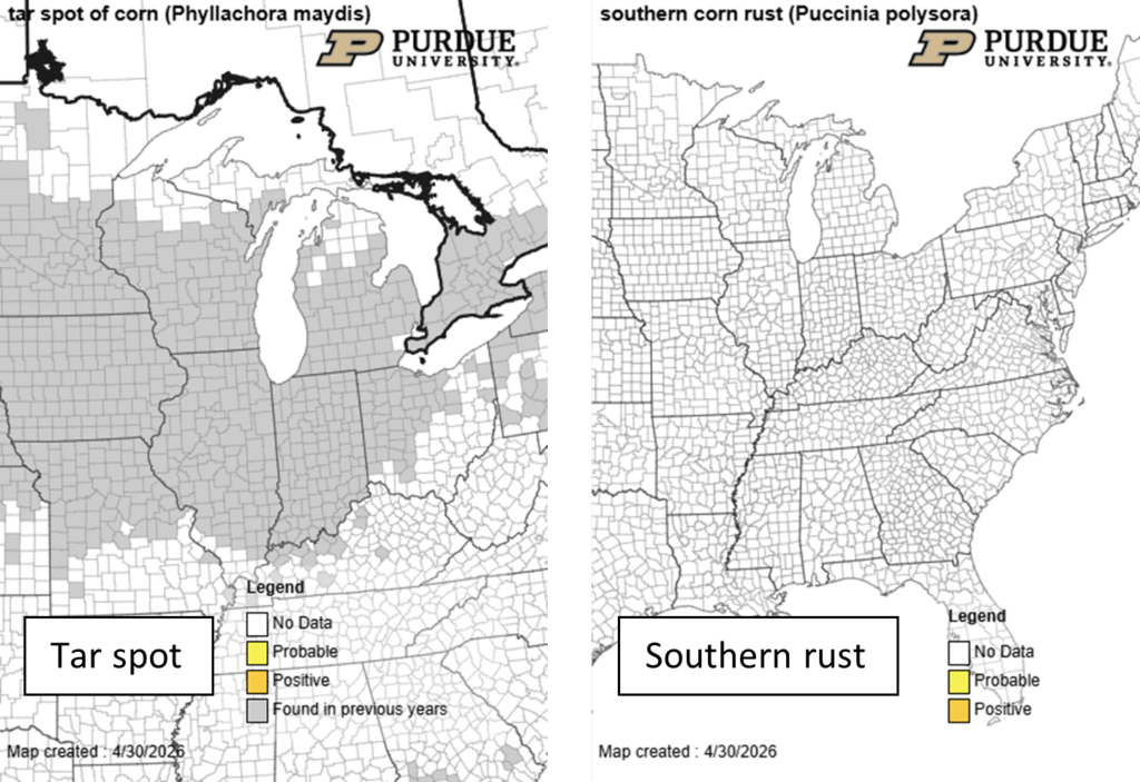 Fig 2. Corn: National corn tar spot and southern rust tracking  https://indianafieldcroppathology.com/