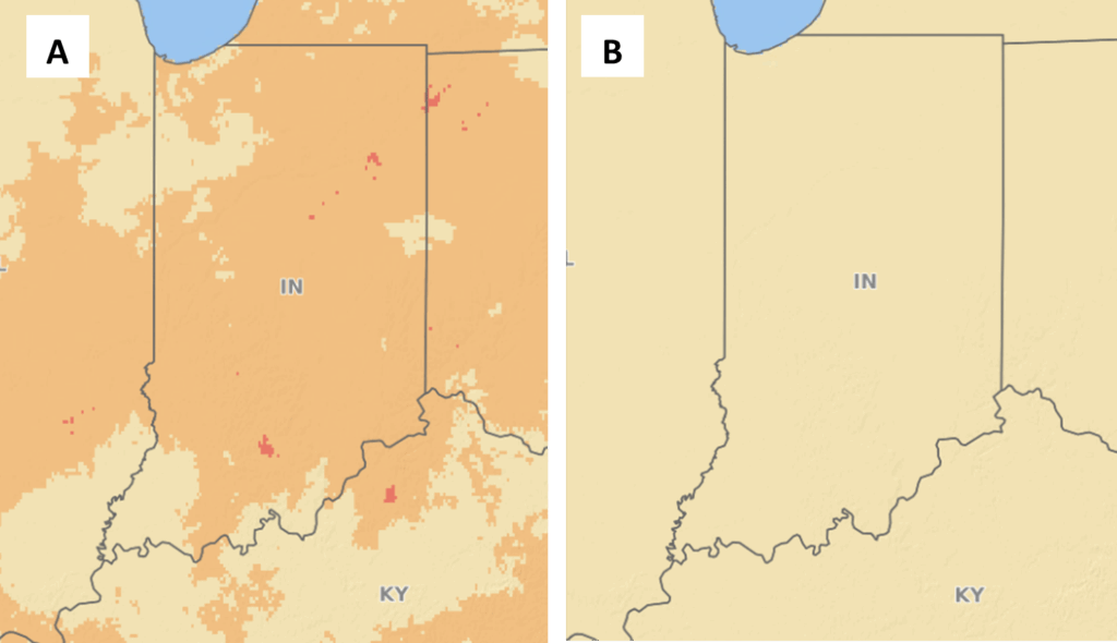 Figure 1. Fusarium Head Blight Risk for Indiana on 5/19/2026 for a susceptible cultivar (A) and moderately susceptible cultivar (B). https://www.wheatscab.psu.edu/