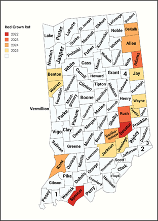 Figure 1. Map of confirmed counties with red crown rot in Indiana.