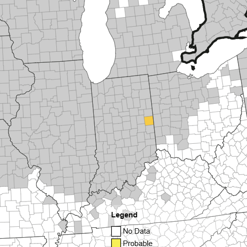EDDMapS - 2026-06-09T205808.779