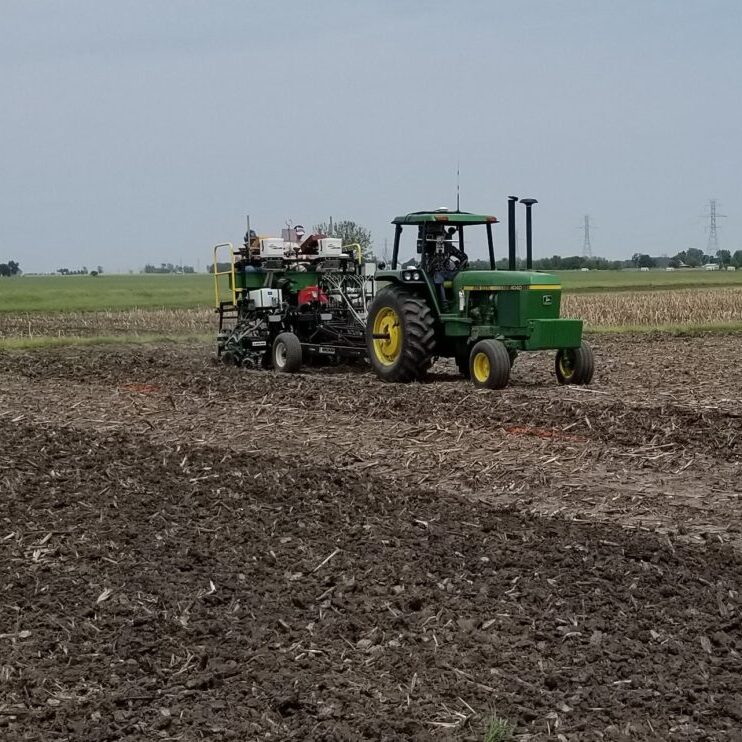 planting
