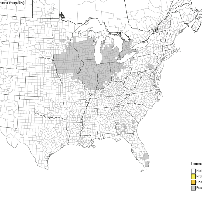 Indiana Field Crop Pathology Telenko Lab