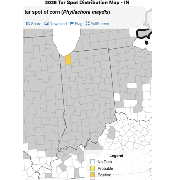 tar spot map june 11